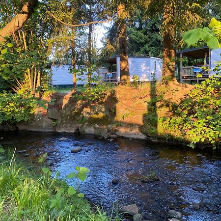 S-Chalet Camping Mit Comfort Im Schwarzwald Steinach (Baden-Wurttemberg) Exterior foto